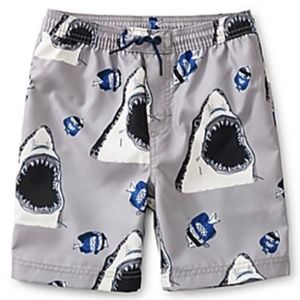 Like New [Tea Collection] Kids Shark Swim Trunks Grey Blue Board Shorts | Boys 7